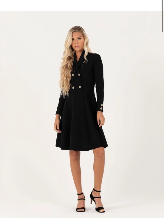 Aleeza Paris Dresses & Skirts - Tailored Black Long-Sleeve Double-Breasted A-Line Dress